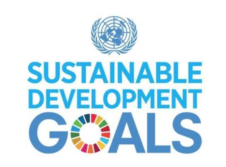 Let’s incorporate sustainability in our businesses to achieve SDGs Let’s incorporate sustainability in our businesses to achieve SDGs