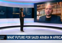 What is the future for Saudi Arabia in Africa? What is the future for Saudi Arabia in Africa?