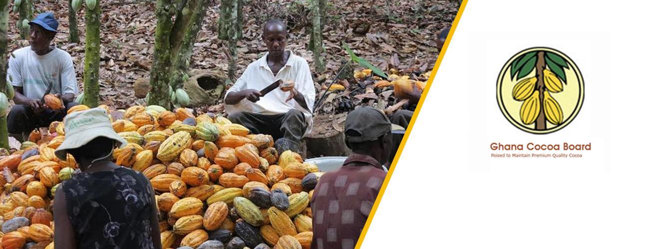 Our CEO did not lie over cocoa forward sales – COCOBOD Our CEO did not lie over cocoa forward sales – COCOBOD