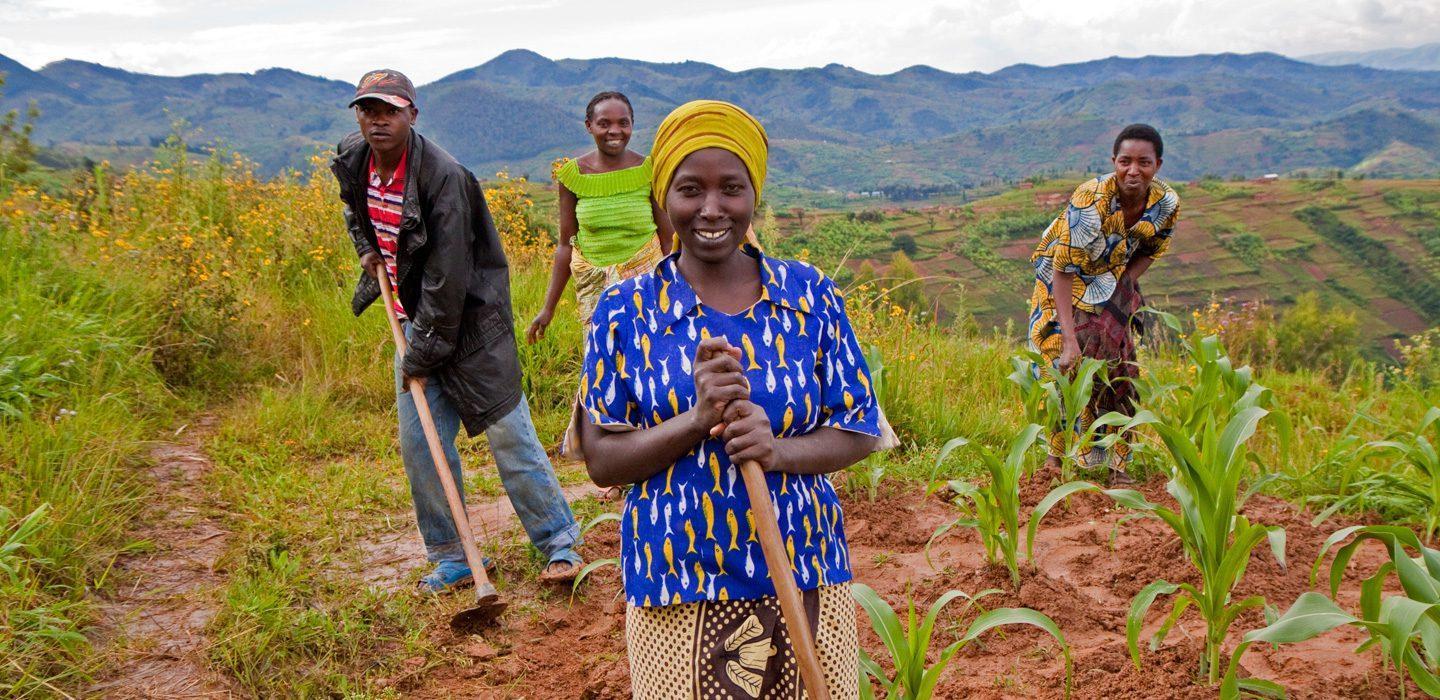 Youth urged to invest in agricultural value chain Youth urged to invest in agricultural value chain