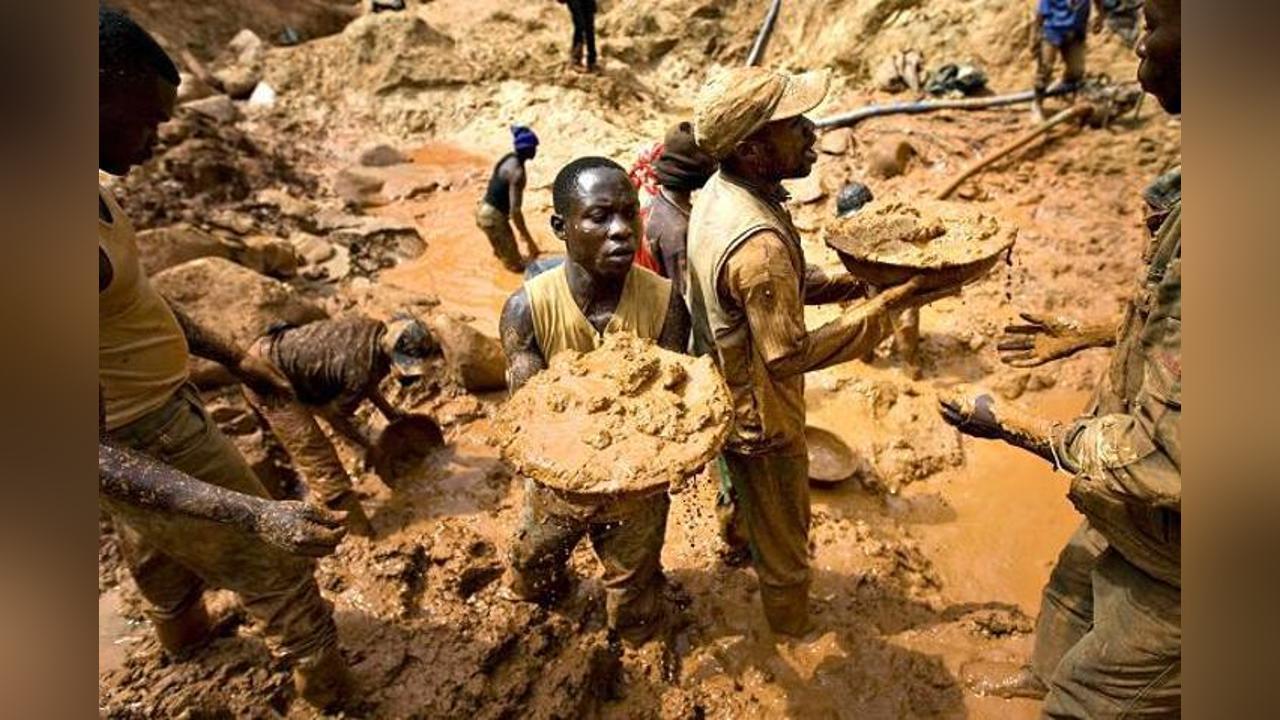 Forestry Commission arrests 10 illegal miners Forestry Commission arrests 10 illegal miners