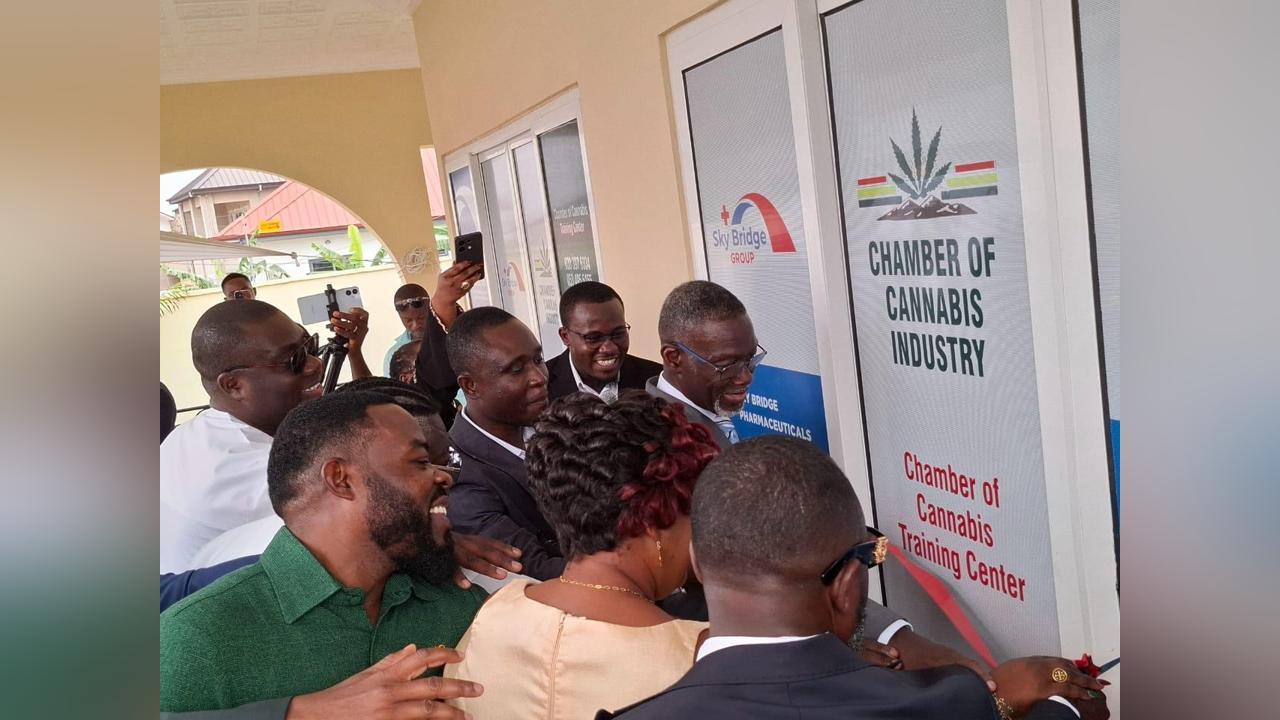 Cannabis can Help Reset Ghana’S Economy – Chamber Cannabis can Help Reset Ghana’S Economy – Chamber