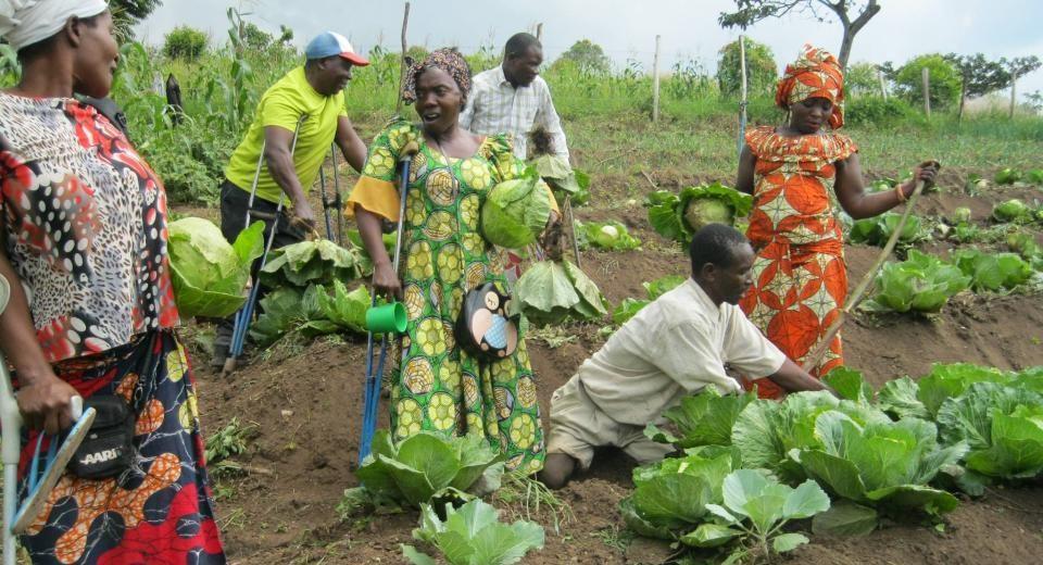 “Twice Marginalised, yet Full of Potential”: Empowering Women with Disabilities in Ghana’S Agricultural Value Chains “Twice Marginalised, yet Full of Potential”: Empowering Women with Disabilities in Ghana’S Agricultural Value Chains