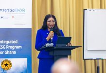 Bog Second Deputy Governor Advocates Sustainable Banking Bog Second Deputy Governor Advocates Sustainable Banking