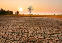 Scientists Urge Radical Action on Climate Tipping Points Scientists Urge Radical Action on Climate Tipping Points