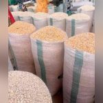 Maize Price Crash Leaves Sissala Farmers in Limbo Maize Price Crash Leaves Sissala Farmers in Limbo