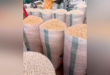 Maize Price Crash Leaves Sissala Farmers in Limbo Maize Price Crash Leaves Sissala Farmers in Limbo
