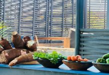 Ghana to Host Gastro ‘Feastival’ Celebrating Food, Innovation Ghana to Host Gastro ‘Feastival’ Celebrating Food, Innovation