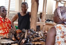 DCE Tours Market Ahead of 2026 Budget Presentation DCE Tours Market Ahead of 2026 Budget Presentation