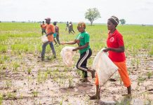 Agricultural Development for Economic Transformation Agricultural Development for Economic Transformation