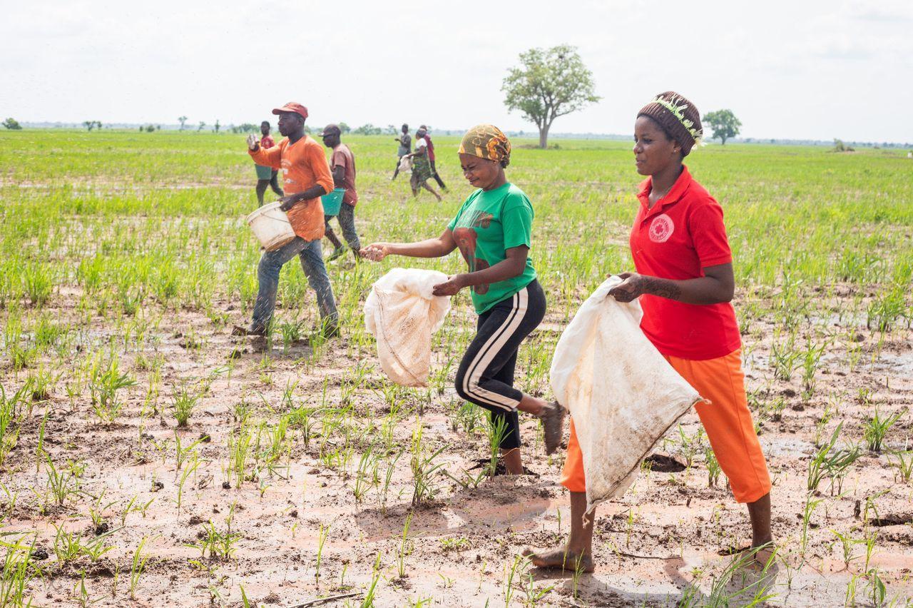 Agricultural Development for Economic Transformation Agricultural Development for Economic Transformation