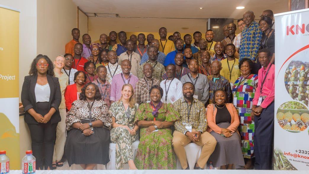 Ghana'S Tropical Fruits in High Demand Internationally Ghana'S Tropical Fruits in High Demand Internationally