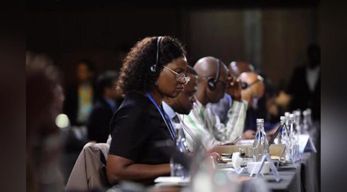 China Africa Partnership Conference Enhances Global Governance China Africa Partnership Conference Enhances Global Governance