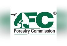 Two Staff Interdicted over GH₵623K Forestry Revenue Two Staff Interdicted over GH₵623K Forestry Revenue