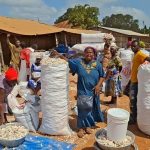 Farmers at Kpassa Market Face Low Prices and Buyer Shortage Farmers at Kpassa Market Face Low Prices and Buyer Shortage