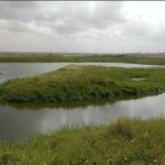 Ghana’S Wetland under Siege: Researchers Investigate Ghana'S Wetland under Siege: Researchers Investigate