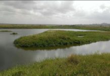 Ghana’S Wetland under Siege: Researchers Investigate Ghana'S Wetland under Siege: Researchers Investigate
