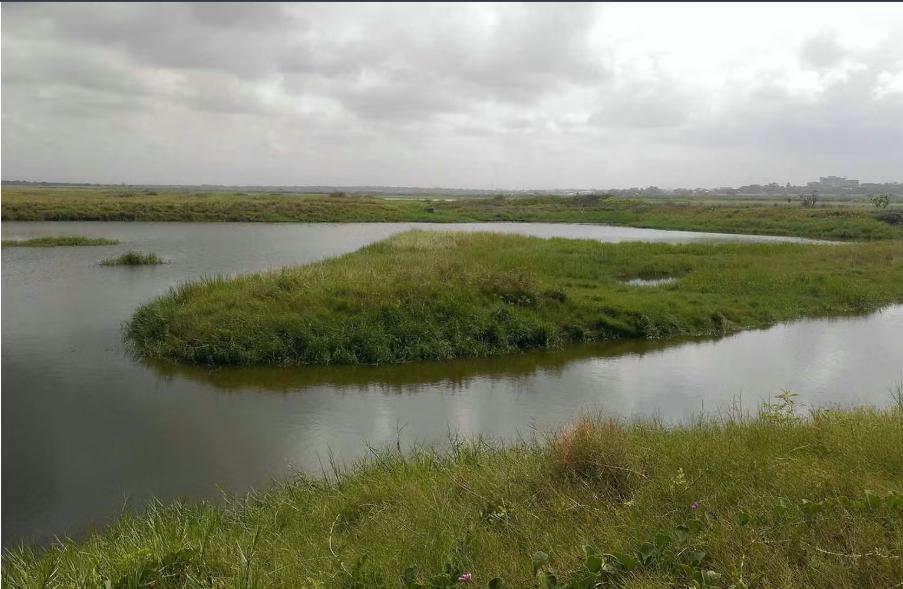 Ghana'S Wetland under Siege: Researchers Investigate Ghana'S Wetland under Siege: Researchers Investigate