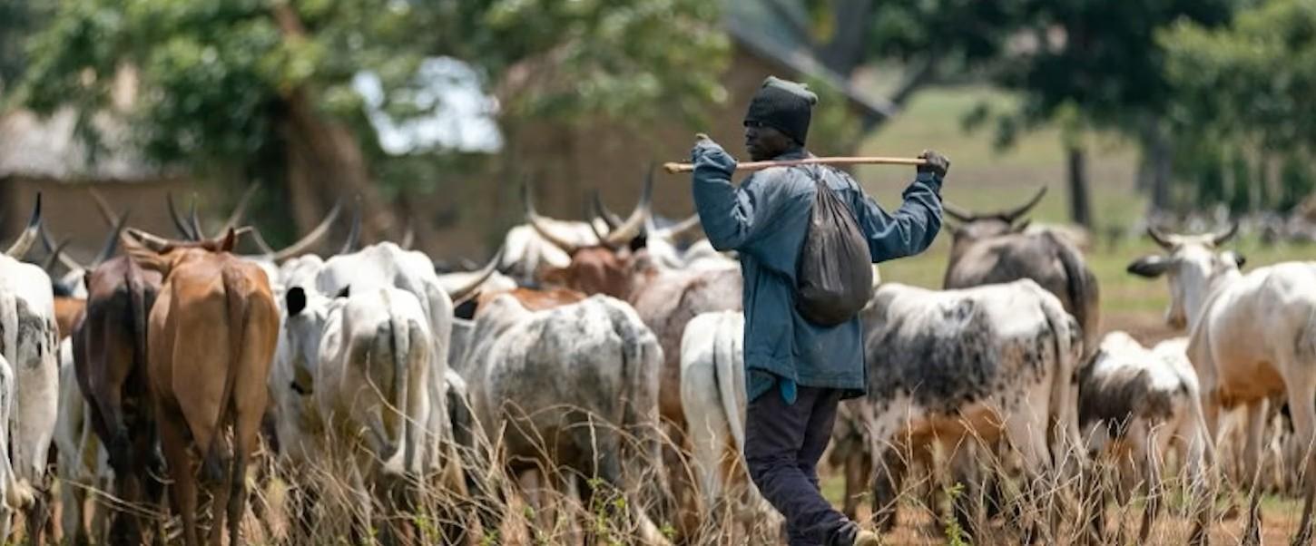 Africa'S Drylands Require Support for Pastoralists Africa'S Drylands Require Support for Pastoralists