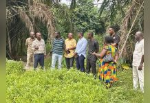 Asokore-Mampong MCE Tours Farms for Farmers’ Day Asokore-Mampong MCE Tours Farms for Farmers’ Day