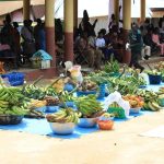 53-Year-Old Businessman Named Best Farmer in Juaben 53-Year-Old Businessman Named Best Farmer in Juaben