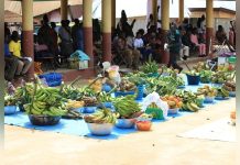 53-Year-Old Businessman Named Best Farmer in Juaben 53-Year-Old Businessman Named Best Farmer in Juaben