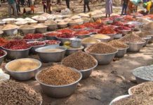 Nkwanta North Female Farmers Alarm over Low Produce Prices Nkwanta North Female Farmers Alarm over Low Produce Prices