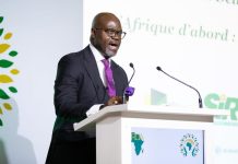 Africa’S Downstream Energy Sector as Investment Frontier Africa'S Downstream Energy Sector as Investment Frontier