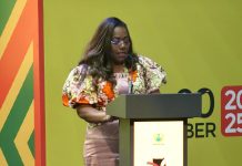 Nana Oye Advocates Structured Diaspora Engagement Nana Oye Advocates Structured Diaspora Engagement