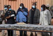 Financial Schemes, Human Trafficking Fuel Organized Crime Financial Schemes, Human Trafficking Fuel Organized Crime