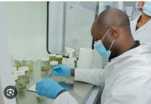 Closing the Gap between Scientific Research and Journalism Closing the Gap between Scientific Research and Journalism