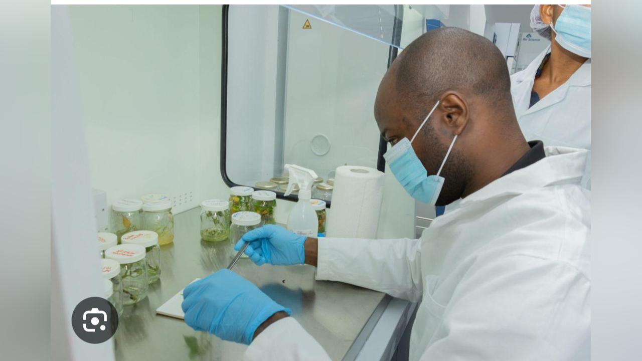 Closing the Gap between Scientific Research and Journalism Closing the Gap between Scientific Research and Journalism