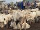 24-Hour Livestock Market Launched to Drive Economic Growth 24-Hour Livestock Market Launched to Drive Economic Growth