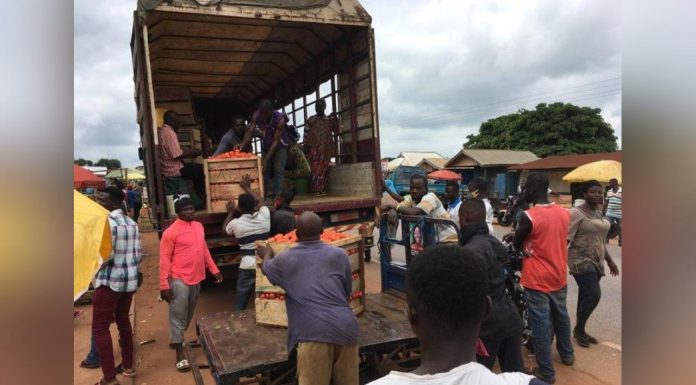 Imports from Burkina Faso Harming Local Tomato Production Imports from Burkina Faso Harming Local Tomato Production