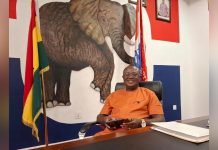 NPP Primaries: 211,849 Delegates to Vote in 333 Centres NPP Primaries: 211,849 Delegates to Vote in 333 Centres