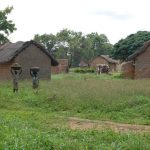 Growing Global Demand for Shea Butter and its Impact Growing Global Demand for Shea Butter and its Impact