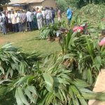 Agric Director Urges Coconut Farmers to Build Fire Belts Agric Director Urges Coconut Farmers to Build Fire Belts