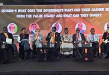 Ghana Promises Quality Cashew Nuts for 2025/26 Season Ghana Promises Quality Cashew Nuts for 2025/26 Season