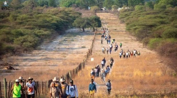 Private Sector Role in Greenhouse Gas Mitigation in Africa Private Sector Role in Greenhouse Gas Mitigation in Africa