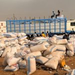 Atebubu Amantin Farmers Demand Government Pricing Help Atebubu Amantin Farmers Demand Government Pricing Help