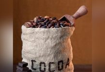 Delay in Cocoa Payments Raises Farmers’ Anxiety Delay in Cocoa Payments Raises Farmers’ Anxiety