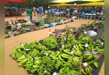 12.5 Million Ghanaians still Face Food Insecurity 12.5 Million Ghanaians still Face Food Insecurity