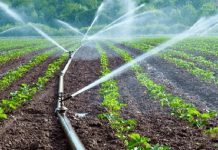 Ashanti MOFA Prioritizes Irrigation for Agriculture Ashanti MOFA Prioritizes Irrigation for Agriculture