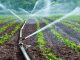 Ashanti MOFA Prioritizes Irrigation for Agriculture Ashanti MOFA Prioritizes Irrigation for Agriculture