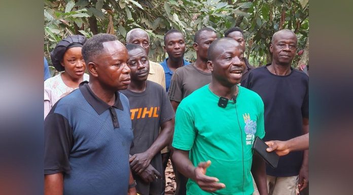 Dormaa Central Cocoa Farmers Demand Price Reforms Dormaa Central Cocoa Farmers Demand Price Reforms