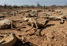 Climate Change may Threaten 1.1 Billion with Hunger Climate Change may Threaten 1.1 Billion with Hunger