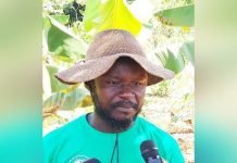 Farmers Association Opposes Cocoa Sector Politicization Farmers Association Opposes Cocoa Sector Politicization