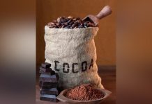 Cocoa Farmers in Kadjebi Decry Price Reduction Cocoa Farmers in Kadjebi Decry Price Reduction
