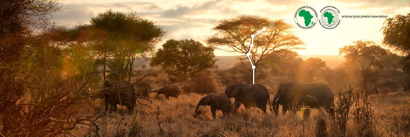 AGES Exclusive: Nature Credits Hold Great Potential for Africa AGES Exclusive: Nature Credits Hold Great Potential for Africa