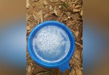 Palm Wine Tapping Preserving an Age-Old Art in Ghana Palm Wine Tapping Preserving an Age-Old Art in Ghana